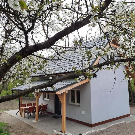 Noclegi Rozanka Radomierz Bagian luar foto