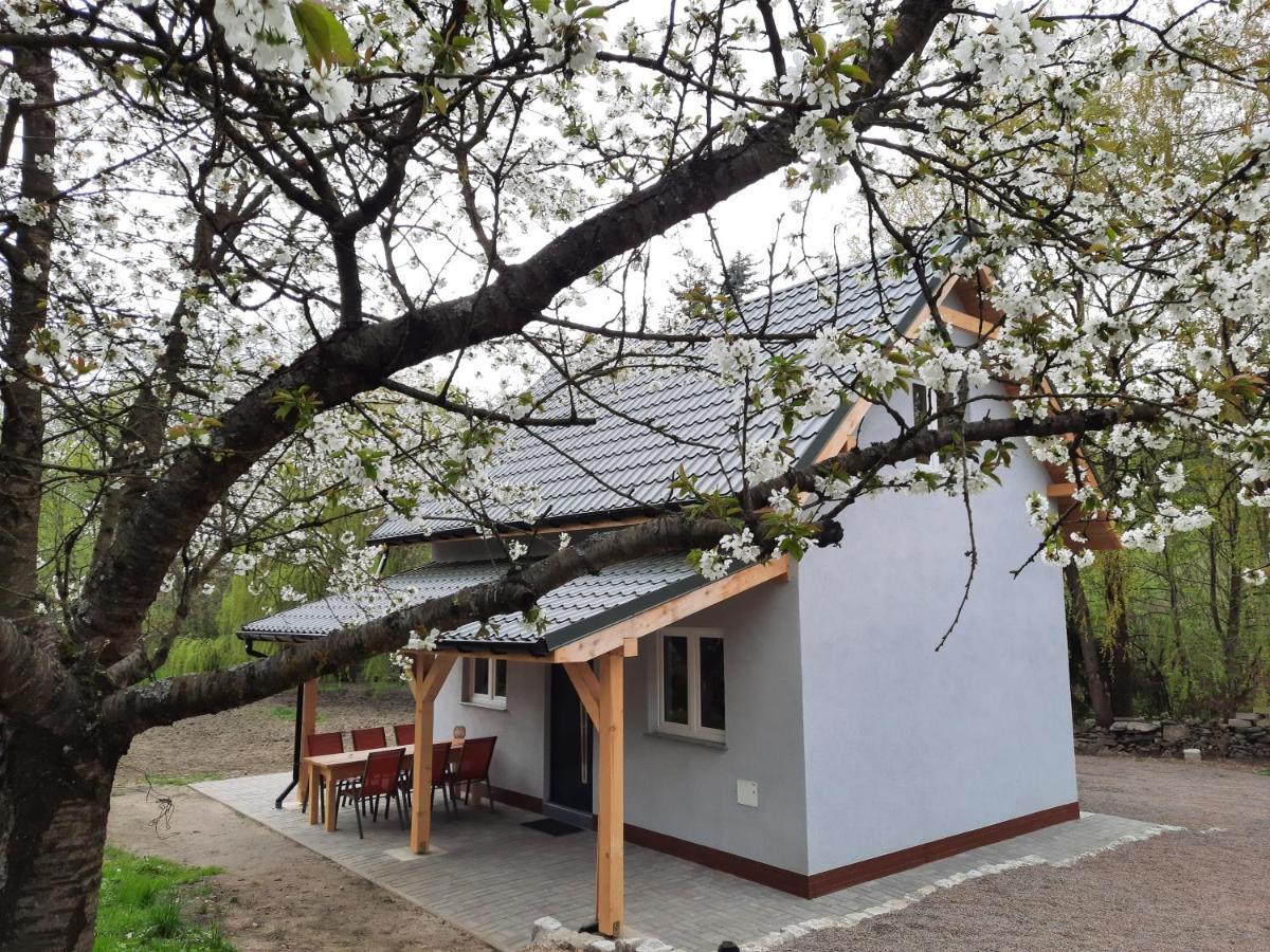Noclegi Rozanka Radomierz Bagian luar foto